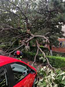 Constanţa: Pompierii au intervenit pentru îndepărtarea unui stâlp căzut pe carosabil la intrare în Mamaia şi a unui copac căzut pe o maşină