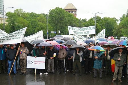 Silvicultorii protestează în Piaţa Victoriei faţă de reorganizarea Romsilva: Vor fi desfiinţate mii de locuri de muncă, iar activitatea Regiei Naţionale a Pădurilor va fi grav afectată