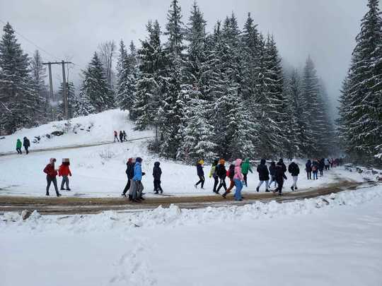 FOTO: Jandarmeria Română