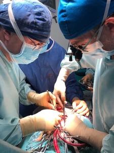 Medicul Horaţiu Suciu anunţă două transplanturi de cord, în două zile, la Târgu Mureş – Un pacient de 30 de ani şi o studentă la Medicină, de 24 de ani / Tânăra a primit inima unei adolescente de 16 ani implicată într-un accident rutier