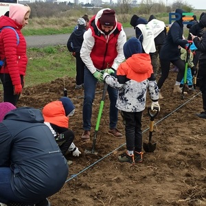 Voluntari şi copii au plantat peste 3.000 de puieţi în comuna Ciulniţa, pentru  a îmbunătăţi calitatea aerului într-o zonă industrială pe care autorităţile locale vor să o dezvolte pe viitor