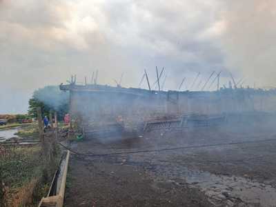 Constanţa: Zeci de animale aflate într-un grajd au murit într-un incendiu provocat cel mai probabil de un trăsnet