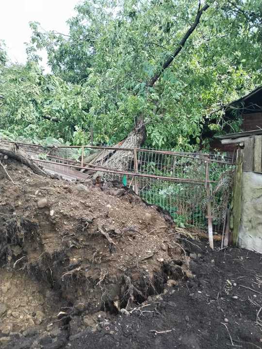 FOTO: ISU Neamţ