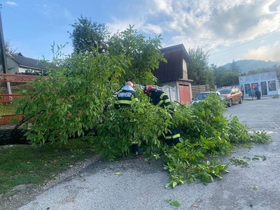 Copaci căzuţi peste case, pe drumuri sau pe firele de curent electric în judeţele Vâlcea şi Argeş, afectate de furtuni în ultimele ore - FOTO