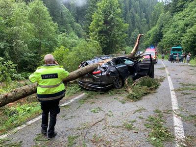 UPDATE - Alba: Trafic oprit pe DN 67C, în apropiere de barajul Oaşa, după ce mai mulţi copaci au căzut pe şosea/ Paisprezece autoturisme, blocate/ O femeie a murit şi un bărbat a fost rănit după ce un arbore a căzut pe maşina lor/ Traficul, reluat-FOTO