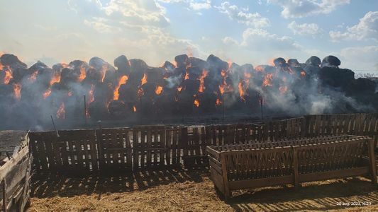 Tulcea: Un incendiu puternic a izbucnit la aproximativ 300 de baloţi de paie / Focul se putea extinde la o casă, un saivan şi alte sute de baloţi - VIDEO