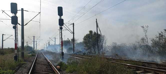 UPDATE - Circulaţia feroviară, închisă în staţia Grădinari, din cauza unui incendiu de vegetaţie/ Mai multe trenuri, oprite în gările apropiate/ Traficul feroviar s-a reluat - FOTO