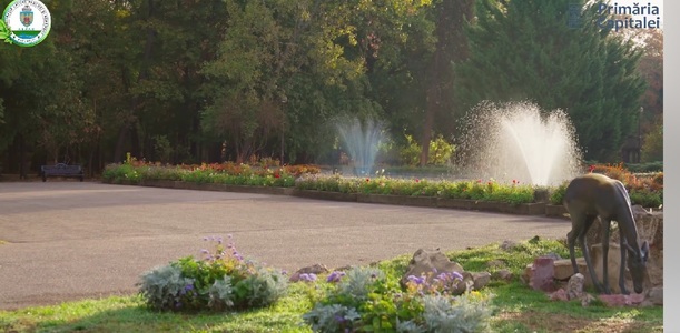 Primarul Capitalei anunţă finalizarea lucrărilor de reabilitare a fântânilor ornamentale „Orangerie” şi „Baraschi” situate în zona Expo Flora, din Parcul Herăstrău - VIDEO