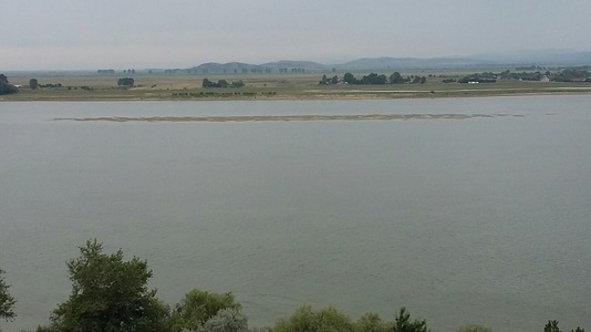 Acţiune pentru combaterea braconajului piscicol pe Dunăre – S-au găsit plase pe o lungine de 400 de metri în care erau prinşi 32 de sturioni / Dosar penal - VIDEO