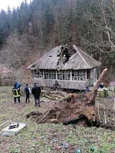 Alba: Acoperişul unei locuinţe, distrus după ce un arbore de mari dimensiuni s-a prăbuşit peste casă - FOTO