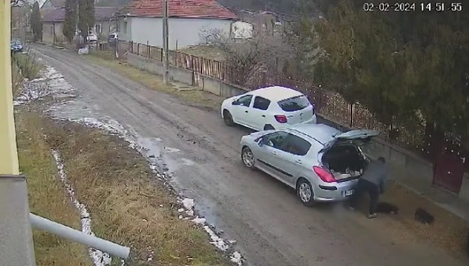 Cluj: Verificări ale Poliţiei, după ce un bărbat a fost filmat în timp ce abandonează trei pui de câine pe o stradă din comuna Aghireş - VIDEO