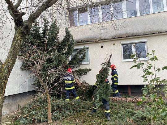 FOTO: ISU Cluj