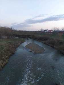 Satu Mare: Râul Crasna, poluat cu dejecţii de la o fermă de bovine/ Specialiştii au luat probe de apă, urmând să anunţe sancţiuni la finalizarea analizelor