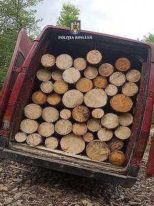 Suceava: Cherestea, buşteni şi lemn de foc în valoare de peste 15.000 lei confiscate de către poliţişti - FOTO