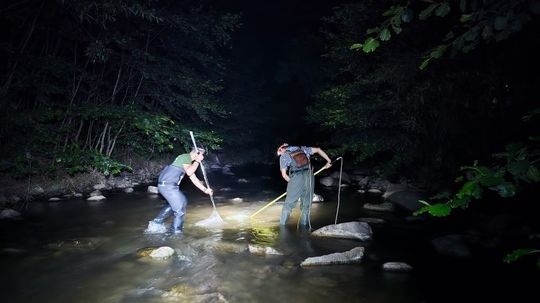 FOTO: Alex Găvan