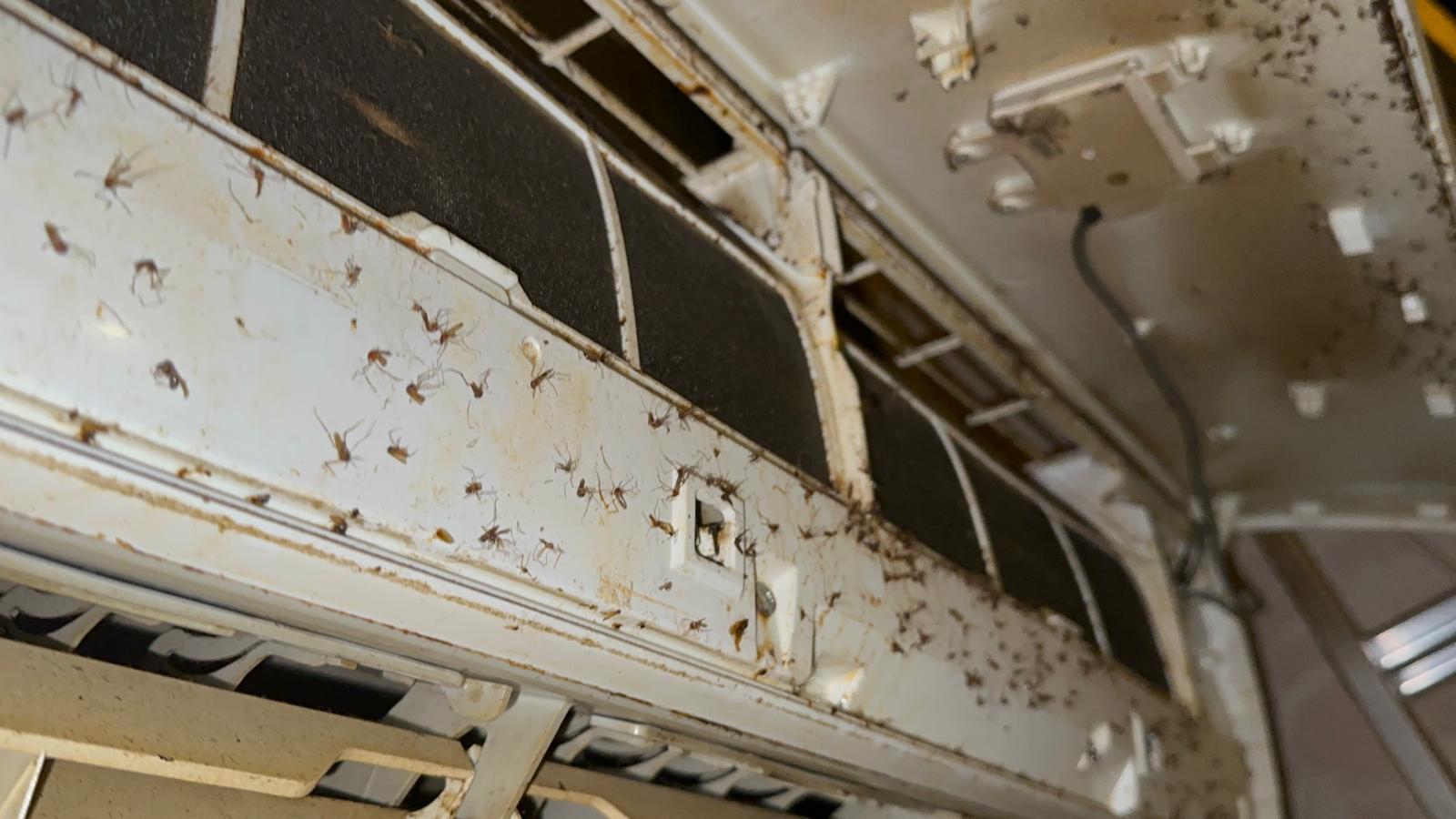 Şapte cluburi de noapte şi restaurante din Bucureşti, închise în urma controalelor făcute de comisarii de la protecţia consumatorului. Sute de kilograme de produse alimentare, oprite de la comercializare – FOTO