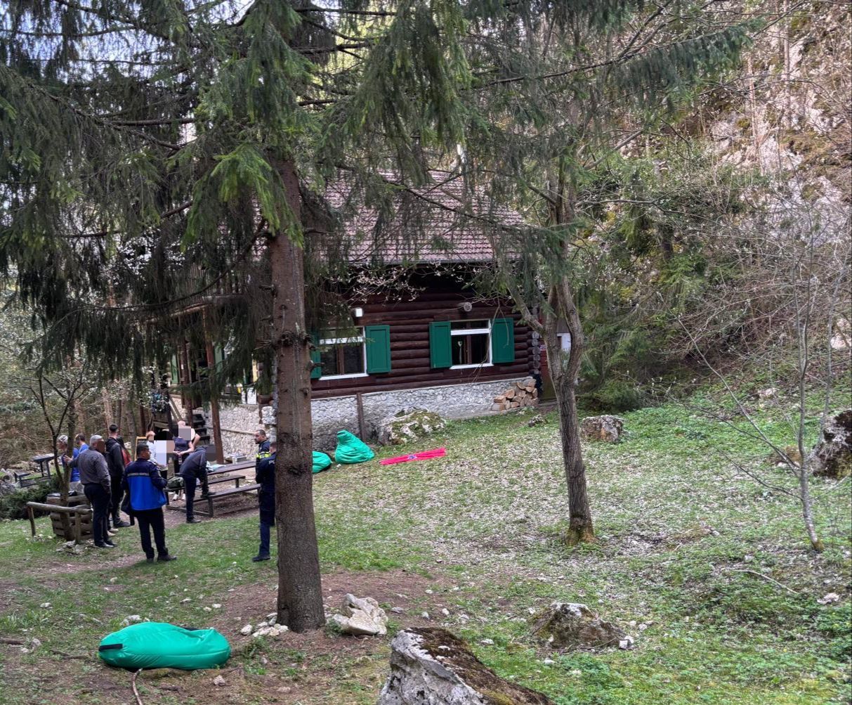 Neamţ: Jandarmii au intervenit pentru îndepărtarea unui urs aflat în apropierea unei cabane turistice / El a fost alungat către o zonă sigură, fără a pune în pericol turiştii aflaţi în apropiere / După două ore ursul a revenit, fiind din nou îndepărtat