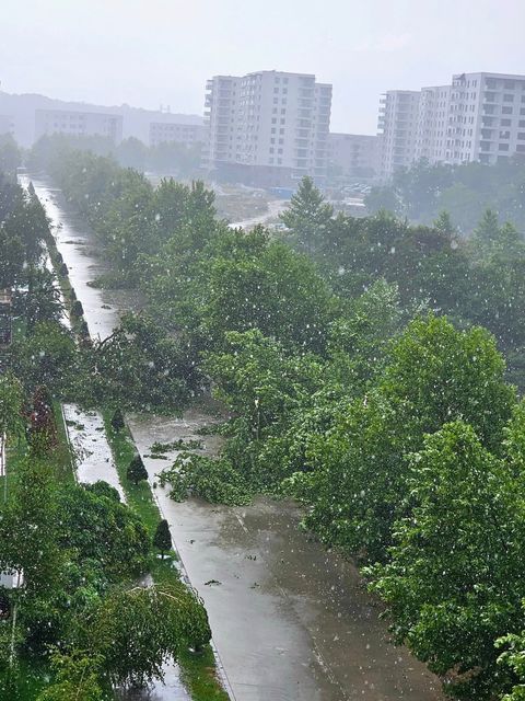 O nouă cale de acces către cartierul Greenfield Băneasa din nordul Capitalei. Investiţie de 2,5 milioane euro