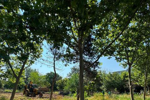 Ministrul Mediului anunţă că încep lucrările la noul parc Grozăveşti/ Reacţia internauţilor la replica lui Ciprian Ciucu dată Dianei Buzoianu, care l-a felicitat pentru sprijinul acordat la proiect: „Ironie de autobază”