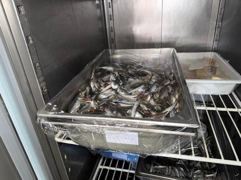 Amenzi de peste un milion de lei, date de Protecţia Consumatorilor după controale pe litoral/ Comisarii ANPC au găsit alimente expirate, şezlonguri murdare, frigidere cu depuneri de gheaţă, rugină şi insecte