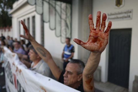 Protest la Palatul Cotroceni, după ieşirea publică prin care preşedintele Niucşor Dan l-a disculpat pe şeful SPP: ”Nicuşoare, lasă clonţu, dă-l afară pe Pahonţu”, au scandat manifestanţii - FOTO