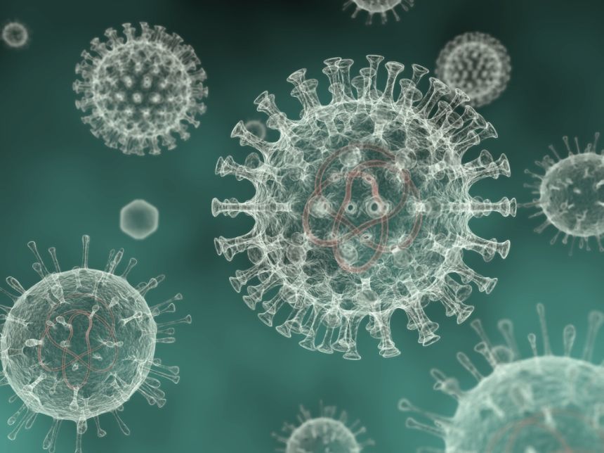 Cancer shutterstock - NewsFactor