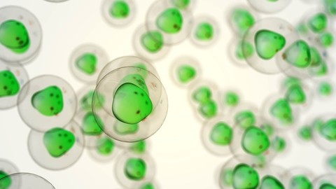 De ce cancerul nu se transmite între oameni? Ce au descoperit cercetătorii studiind cazurile rare de cancer transmisibil la animale