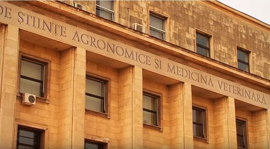Profesorul de la Facultatea de Medicină Veterinară Bucureşti care a luat mită de la studenţi a fost trimis în judecată
