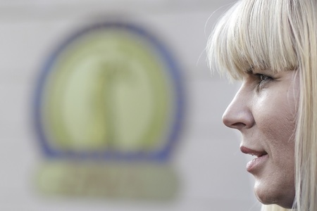Înalta Curte de Casaţie şi Justiţie judecă apelul în dosarul finanţării campaniei electorale din 2009 / Elena Udrea contestă condamnarea la 8 ani de închisoare, iar Ioana Băsescu pe cea de cinci ani