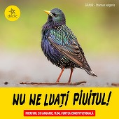 Protest Declic la sediul Curţii Constituţionale, pentru salvarea păsărilor migratoare