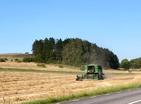 Doi cetăţeni moldoveni, tată şi fiu, trimişi în judecată pentru înşelăciune cu cereale ucrainene, vândute de două societăţi din Slovacia şi Lituania/ Prejudiciul adus acestor societăţi, aproape 900.000 de euro