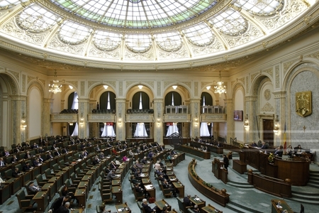 Senatorii Ionel Agrigoroaei şi Teiu Păunescu şi-au anunţat în plen demisia din grupul parlamentar al UNPR