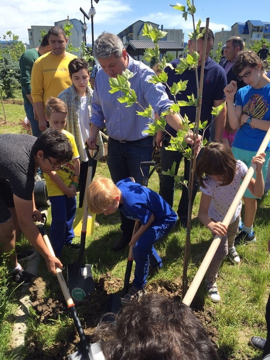 Predoiu a asistat la plantarea a doi copaci: ”Platan este, îl cunosc după coajă” (News.ro/ Larisa Bernaschi)