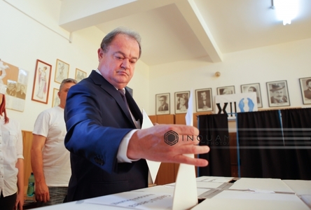 Vasile Blaga va coordona campania PNL la alegerile parlamentare, secondat de Predoiu, Falcă, Petrache şi Voicu