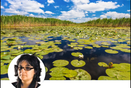 USR PLUS o propune pe Atena-Adriana Groza în funcţia de guvernator al Administraţiei Rezervaţiei Biosferei Delta Dunării