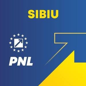 PNL Sibiu îşi alege vineri liderul organizaţiei / În competiţie s-au înscris Raluca Turcan, susţinută de Florin Cîţu şi Constantin Şovăială sprijinit de Ludovic Orban