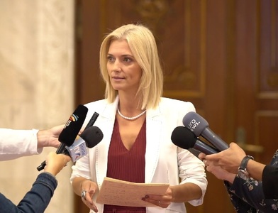 Alina Gorghiu: PNL a luat act de demisia lui Vasile Dîncu de la Apărare şi aşteaptă ca PSD „să vină foarte repede cu o propunere serioasă”