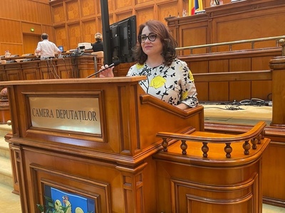 Cristina Trăilă (PNL): Există cinci primari PSD care intenţionează să vină la PNL / Noi deocamdată am respectat întelegerea din coaliţie / Cred că ar fi o soluţie să avem alegerile parlamentare odată cu alegerile locale