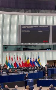 Europarlamentari români: Premierul Suediei a anunţat în plenul PE că înţelege dezamăgirile României şi Bulgariei şi doreşte să pună pe Ordinea de Zi în Consiliu extinderea spaţiului Schengen, pe preşedinţia suedeză