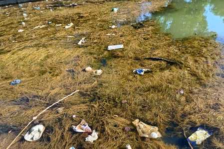 USR sesizează autorităţile cu privire la poluarea pârâului care face legătura între Siutghiol şi Lacul Tăbăcăriei

