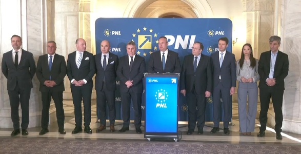 PNL a validat lista candidaţilor partidului la europarlamentare, candidatul comun la PMB şi Sectoarele 1 şi 6 / Liberalii au Consiliul Naţional pe 24 martie, să valideze alianţa cu PSD şi fuziunea cu ALDE