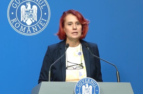 Ioana Dogioiu, despre poziţia premierului cu privire la neclarităţile din CV-ul ministrului Apărării, Ionuţ Moşteanu: Nu am discutat acest aspect cu domnul premier, deocamdată cel puţin / Înţeleg că este vorba de ceea ce s-ar numi o eroare materială