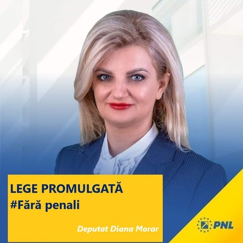 CABINETUL VEŞTEA - Apropiata lui Nicuşor Dan - Diana Morar, propusă vicepremier în Guvernul Veştea, pe fondul tensiunilor politice din PNL