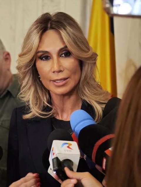 Raluca Turcan (PNL), avertisment pentru premierul Niculescu: Să nu uite că PSD este în opoziţie chiar şi când e la guvernare!