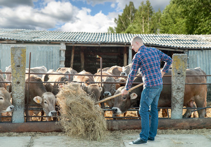 Cioloş: Avem nevoie de o legislaţie care să consfinţească rolul fermierului din fermă familială ca antreprenor