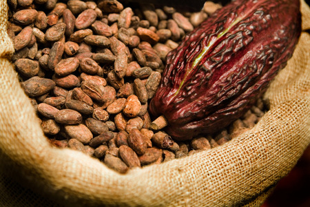 Cacaoa este tranzacţionată la maximul ultimilor 39 de ani; producătorii de ciocolată, salvaţi de deprecierea lirei
