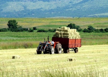 Tinerii fermieri vor primi finanţări nerambursabile de 153,6 milioane de euro pentru investiţii

