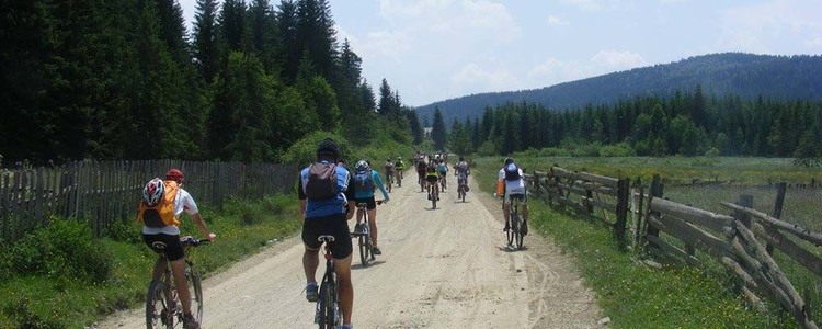 Ministerul Economiei propune amenajarea de trasee pentru biciclete în toată ţara, ca să crească numărul de turişti. Consiliile judeţene vor fi amendate dacă nu organizează comisii pentru ciclotrasee

