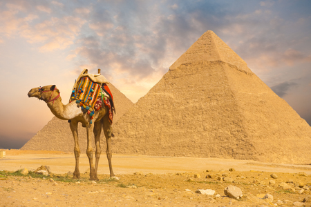 Christian Tour anunţă introducerea, din vara viitoare, a unui nou zbor charter de la Iaşi, către staţiunea egipteană Hurghada
