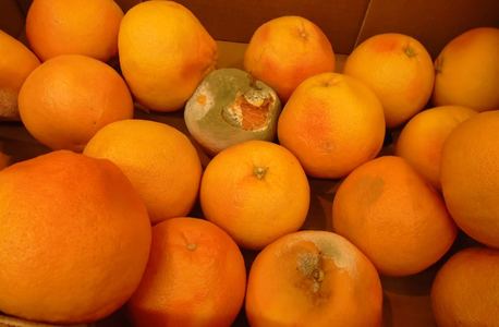 Comercianţii de legume şi fructe, amendaţi cu peste 1 milion de lei de ANPC